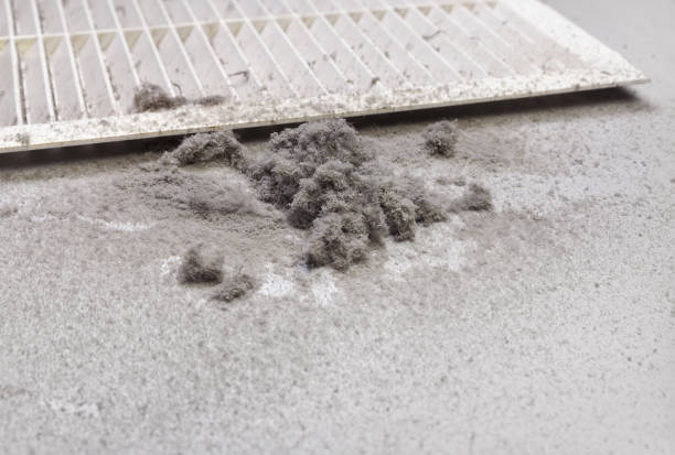 Best HVAC Duct Inspection Services  in Lockport Heights, IL